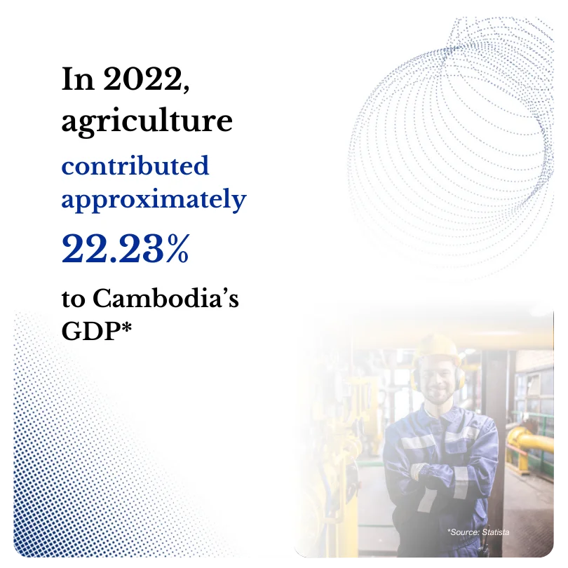 Cambodia Agriculture Image Overview